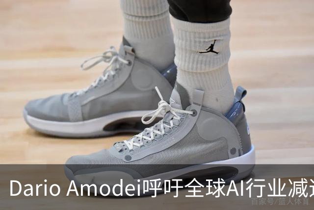 Dario Amodei呼吁全球AI行业减速，警惕RSI风险